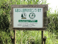 Tree-Planting Sites