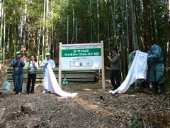 Tree-Planting Sites