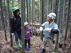 Tree-Planting Sites