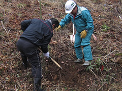 Tree-Planting Sites