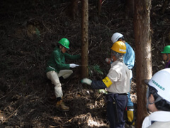 Tree-Planting Sites