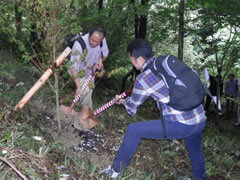 Tree-Planting Sites