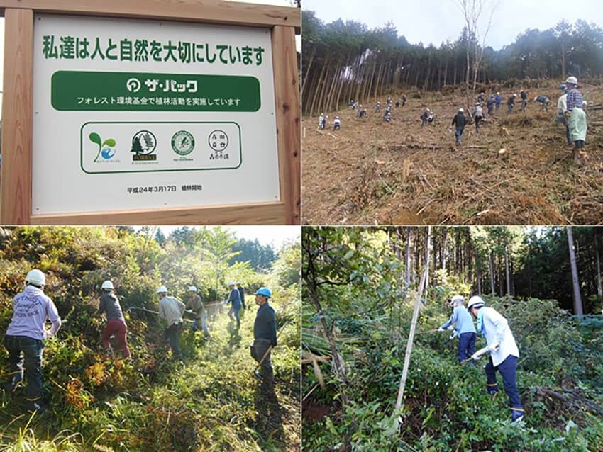 植林地　埼玉県日高市