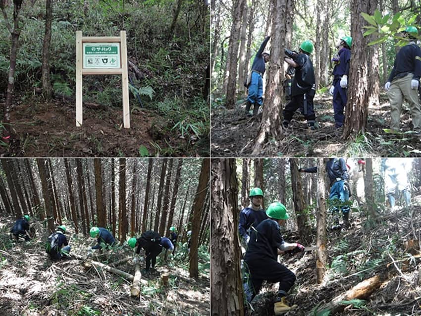 植林地　大阪府四條畷市