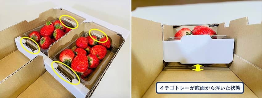 blog_109_6l_イチゴを守る段ボールパッケージ_浮かせ収納.jpg