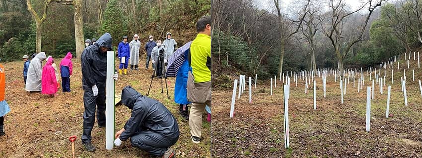 blog_147_2l_ユーハイムバウム紙製トレー.jpg