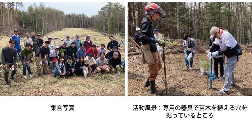 blog_147_2l_ユーハイムバウム紙製トレー.jpg