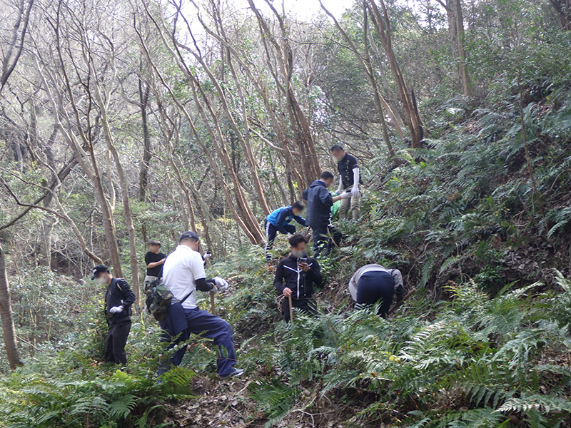 広島県竹原市の森林で参加者が協力して植樹作業を行う様子