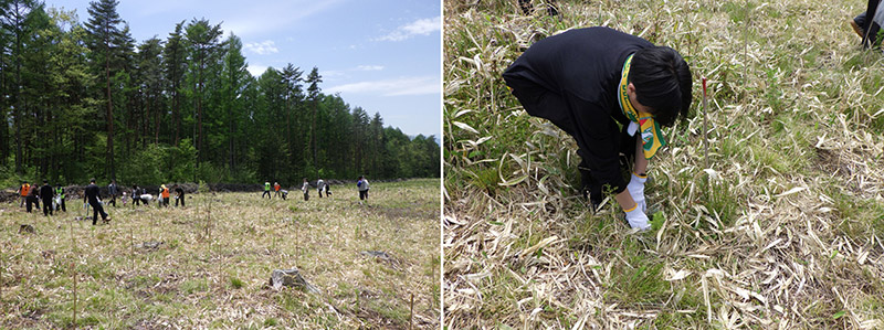 長野県富士見町の森で参加者が協力して苗木を植え付ける植樹活動の様子
